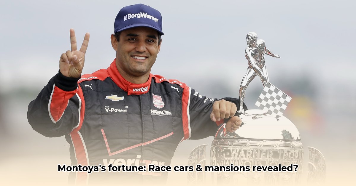 juan-pablo-montoya-net-worth